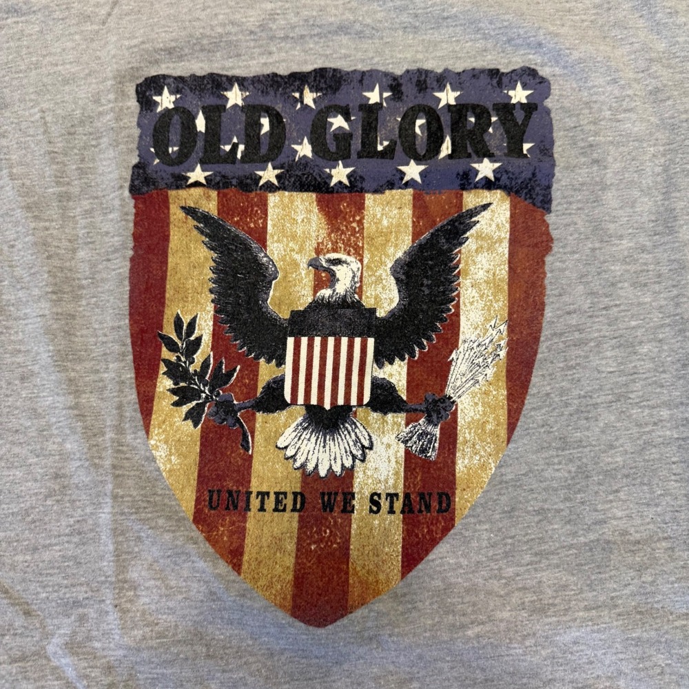 Buckhorn River Mens Old Glory Eagle Graphic Tee Grey Short Sleeve XL - Picture 2 of 6